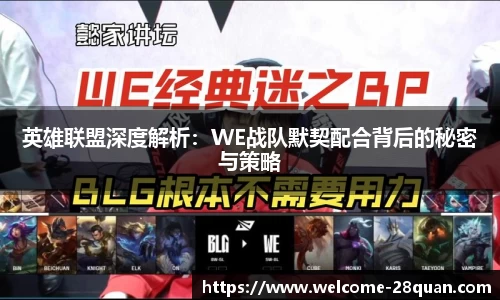 28圈官方网站
